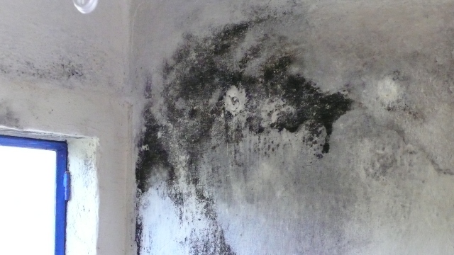 Condensation mold