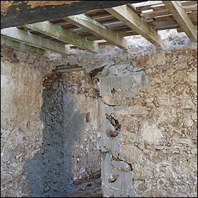 woodworm2